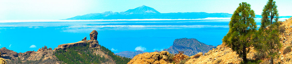 Roque Nublo y Teide